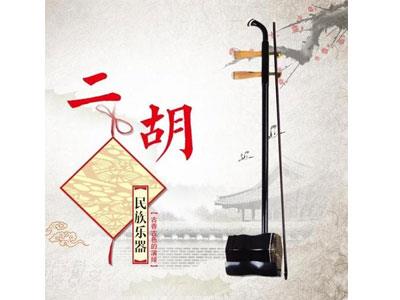 招聘绵阳二胡家教老师